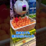 大量のピンポン球！？たこ焼きキャッチャーで景品をお得にGET！#shorts