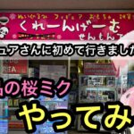 奈良にあるゲームピュアさんに行く！導入日に桜ミクブースで遊んでいく！【クレーンゲーム】【JapaneseClawMachine】【인형뽑기】【日本夾娃娃】