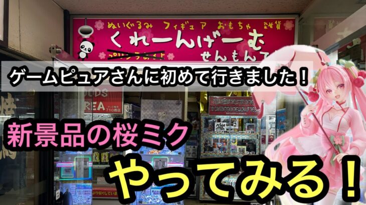 奈良にあるゲームピュアさんに行く！導入日に桜ミクブースで遊んでいく！【クレーンゲーム】【JapaneseClawMachine】【인형뽑기】【日本夾娃娃】