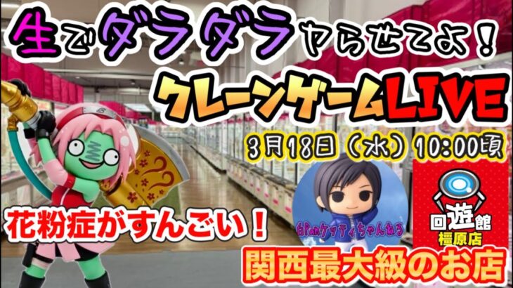 【クレーンゲームLIVE】生でダラダラヤらせてよ‼️回遊館橿原店さんから最速新景品チャレンジ🦌