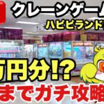 【クレーンゲームLIVE】ハピピランド東大宮店で閉店まで乱獲🔥〇万円分ガチ配信！