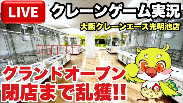 【クレーンゲームLIVE】初来店！大阪クレーンエース光明池店グランドオープン初日にライブ配信！