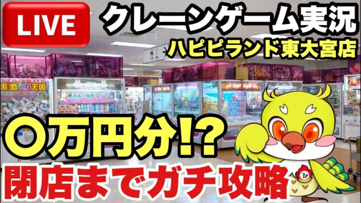 【クレーンゲームLIVE】ハピピランド東大宮店で閉店まで乱獲🔥〇万円分ガチ配信！