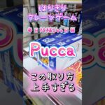 【はりきりクレーンゲーム】Pucca上手い取り方#クレーンゲーム #ゲームセンター #ゲーセン #ufoキャッチャー #橋渡し #お菓子 #pucca #攻略#上手い取り方