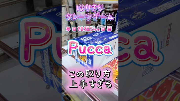 【はりきりクレーンゲーム】Pucca上手い取り方#クレーンゲーム #ゲームセンター #ゲーセン #ufoキャッチャー #橋渡し #お菓子 #pucca #攻略#上手い取り方