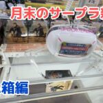 【クレーンゲーム】月末のSEGA新景品をサープラで［橋渡し］