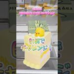 SKZOO BIRTHDAY CAKEコレクションをGiGOで獲ってきた！#クレーンゲーム #straykids #スキズー