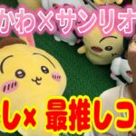 【ちいかわ&サンリオ】最推しと最推しの神コラボ景品！うさぎ×ポムポムプリンぬいぐるみ獲れるまでクレーンゲーム!!【Sanrio/UFOキャッチャー】