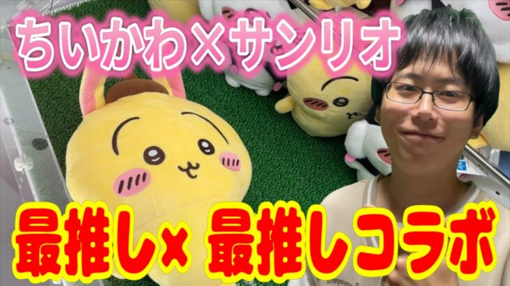 【ちいかわ&サンリオ】最推しと最推しの神コラボ景品！うさぎ×ポムポムプリンぬいぐるみ獲れるまでクレーンゲーム!!【Sanrio/UFOキャッチャー】