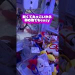 【大人気】揃えたくなる可愛さ！TikTokフォローもお願いします！ #クレーンゲーム #ゲームセンター #ufoキャッチャー #cranegame #mojojojo #kawaii #fyp #攻略