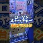 【ガチ検証】ローソンキャッチャー全台チャレンジで何個景品取れる？ #クレーンゲーム #UFOキャッチャー #ゲームセンター