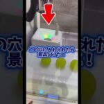 高額景品が簡単に取れる台知ってる！？ #ゲーセン#UFOキャッチャー #ポケカ#シャインマスカット#オガトゥーン