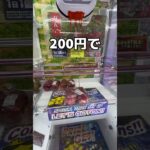 嫁の実況編🎤#UFOキャッチャー #クレーンゲーム  #ゲームセンター #攻略 #shorts  #youtubeshorts