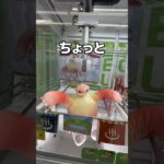 なんかぶら下がってたゾ#UFOキャッチャー #クレーンゲーム  #ゲームセンター #攻略 #shorts  #youtubeshorts