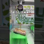 巨大パンを食べてみた🍞#UFOキャッチャー #クレーンゲーム  #ゲームセンター #攻略 #shorts  #youtubeshorts