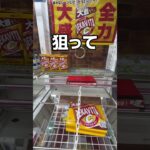 はじめてのおつかい編 #UFOキャッチャー #クレーンゲーム  #ゲームセンター #攻略 #shorts  #youtubeshorts