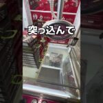 輪っかに入れれば全部取れるか検証してみた#UFOキャッチャー #クレーンゲーム  #ゲームセンター #攻略 #shorts  #youtubeshorts