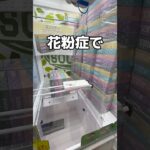 ゲームセンターで花粉症対策してみた#UFOキャッチャー #クレーンゲーム  #ゲームセンター #攻略 #shorts  #youtubeshorts