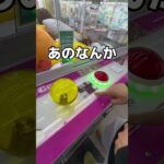 チキンとミカン捕獲大作戦🍊#UFOキャッチャー #クレーンゲーム  #ゲームセンター #攻略 #shorts  #youtubeshorts