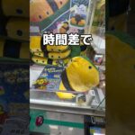 巨大な卵みたいな黒板消し#UFOキャッチャー #クレーンゲーム  #ゲームセンター #攻略 #shorts  #youtubeshorts