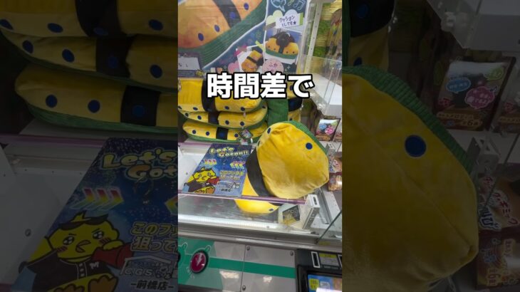 巨大な卵みたいな黒板消し#UFOキャッチャー #クレーンゲーム  #ゲームセンター #攻略 #shorts  #youtubeshorts