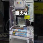 エビフライ大作戦🍤#UFOキャッチャー #クレーンゲーム  #ゲームセンター #攻略 #shorts  #youtubeshorts