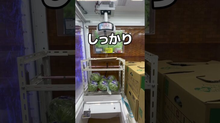レタスパーティー編#UFOキャッチャー #クレーンゲーム  #ゲームセンター #攻略 #shorts  #youtubeshorts