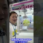 気ままにUFOキャッチャー43　登場したてほやほやのフィギュアみくじ【セガUFOキャッチャーオンライン】#shorts