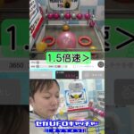 気ままにUFOキャッチャー49　ラストワンとアシストが同時に来た【セガUFOキャッチャーオンライン】#shorts