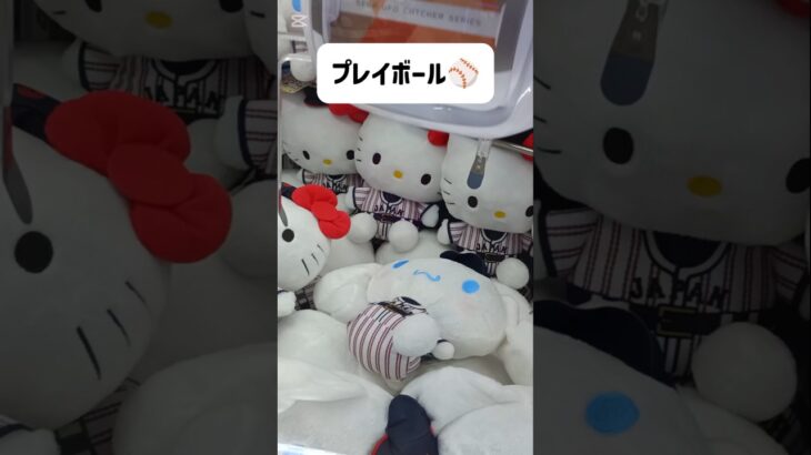 【クレーンゲーム新作】侍ジャパン⚾シナモロール攻略法💛#シナモロール#ぬいぐるみ#グッズ#クレーンゲーム#最新#UFOキャッチャー#サンリオ#Sanrio#Cinnamon#侍ジャパン#野球#ライブ