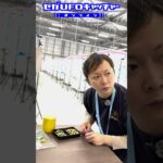 ファンタジーゾーン×セガUFOスイーツコレクション登場～♪【セガUFOキャッチャーオンライン】#shorts