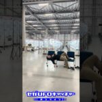 セガガガスイーツコレクション！？【セガUFOキャッチャーオンライン】#shorts