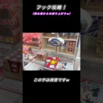 【クレーンゲーム】フック攻略!この手のやつはこれをやれば捕獲率UPw初心者〜成り上がり道！【フック設定】【ufoキャッチャー】【ゲームセンター】