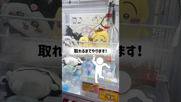 【ちいかわ×サンリオ最新景品】確率機VS橋渡しどっちがお得に取れるのー？#ベネクス #万代書店 #ufoキャッチャー #クレーンゲーム #ちいかわ #サンリオ #確率機 #cgs岩槻