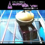 のんびりオンクレ✨なんか(　ﾟдﾟ)ｸﾚ!! #clawmachine #オンクレ #クレーンゲーム #ゲット