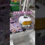 【しなこ】在庫処分？ #クレーンゲーム #ゲームセンター #cranegame #ufoキャッチャー #ゲーセン #しなこ #인형뽑기 #clawmachine #攻略