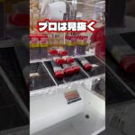 【攻略】乱獲！チャンネル登録お願いします🙏 #クレーンゲーム #ゲームセンター #cranegame #ufoキャッチャー #ゲーセン #clawmachine #sweet #fyp #攻略#裏技