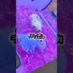 #labubu #ラブブ #グッズ #クレーンゲーム #ufoキャッチャー #景品 #攻略 #高難易度 #shorts