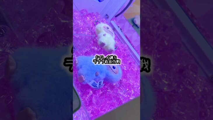 #labubu #ラブブ #グッズ #クレーンゲーム #ufoキャッチャー #景品 #攻略 #高難易度 #shorts