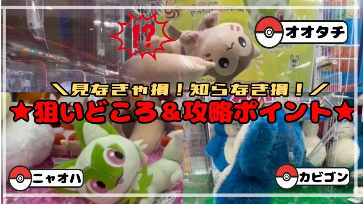 【知らなきゃ・見なきゃ損】　オオタチ・ニャオハの攻略法！！～カビゴンの攻略法を添えて～　　#ポケモン#pokemon #ポケットモンスター #クレーンゲーム#ぬいぐるみ