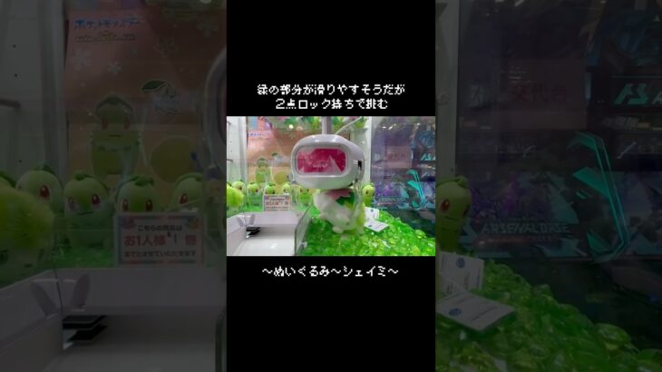 【リベンジ】シェイミとの戦い再び！！　#ポケットモンスター #ポケモン #pokemon #ぬいぐるみ #クレーンゲーム