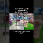 【ワザを駆使】いつもより大きいミュウとの闘い！！　#ポケットモンスター #ポケモン #pokemon #ぬいぐるみ #クレーンゲーム