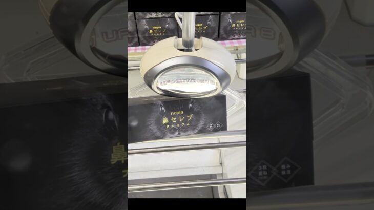 ギガステーション戸田店で鼻セレブのプレミアムと麻辣湯の景品をゲット　#shorts