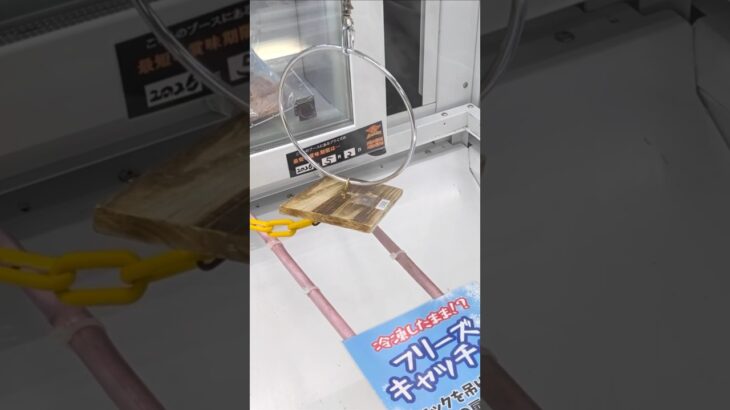 ベネクス川越店でマグロのたたきとレアチーズケーキの景品をゲット　#shorts