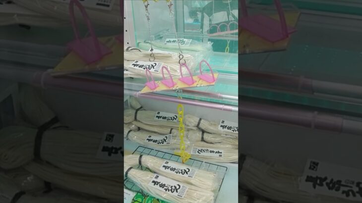万代書店熊谷店で長命の泉うどんの景品をゲット #shorts