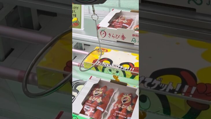 おたちゅう相模原店でいちごと卵の景品をゲット #shorts