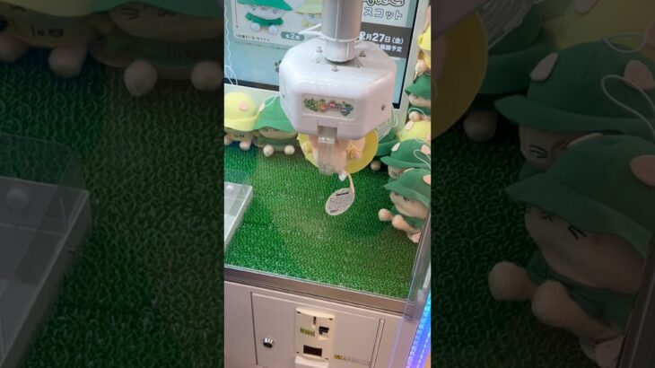 見どころ撮れてない😇 うえーん #shorts   #フック #夾娃娃機 #ゲームセンター #uFoキャッチャー ＃夾娃娃＃ゲーセン＃倉庫系 #クレーンゲーム #ゲッタースピン