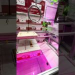 何度やっても全然攻略できません⑥  #shorts  #ドラゴンボール   #フック #夾娃娃機 #ゲームセンター #uFoキャッチャー ＃夾娃娃＃ゲーセン #クレーンゲーム #ゲッタースピン