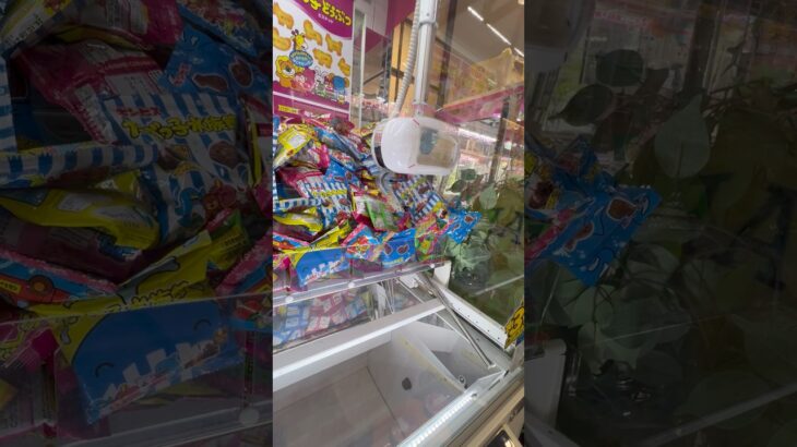 たべっこどうぶつ旨し！　#ゲーセン #shorts  #フック #夾娃娃機 #ゲームセンター #uFoキャッチャー ＃夾娃娃＃ゲーセン＃倉庫系 #クレーンゲーム #ゲッタースピン