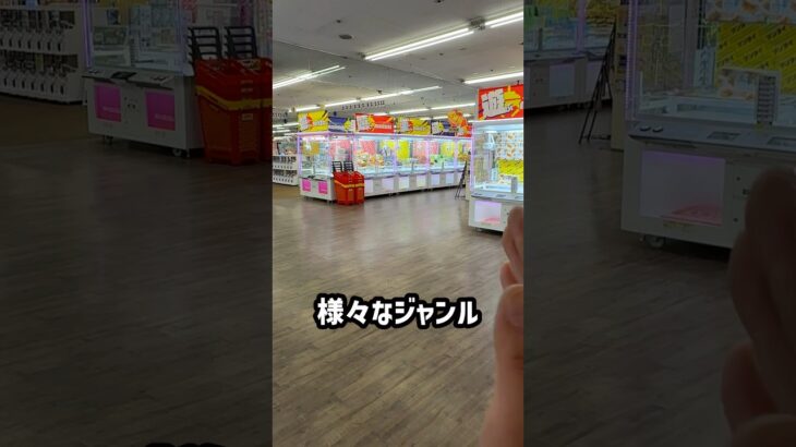 北海道のゲーセンで様々なジャンルに挑戦したらいくらで取れるのか検証してみたらまさかの、、、 #shorts #クレーンゲーム #ufoキャッチャー #ゲーセン #ゲームセンター #万代札幌藤野店